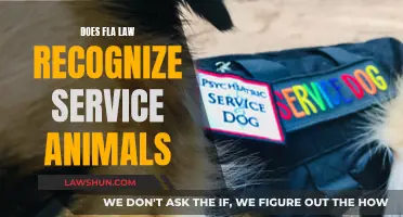 Understanding Service Animal Recognition Under Florida Law