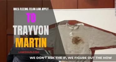 Fleeing Felon Law: Trayvon Martin's Case and Its Relevance