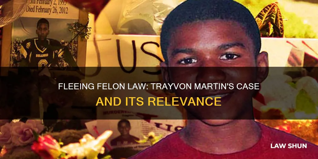 does fleeing felon law apply to trayvon martin