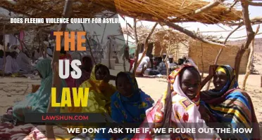 Fleeing Violence: Does It Qualify for Asylum Under U.S. Law?