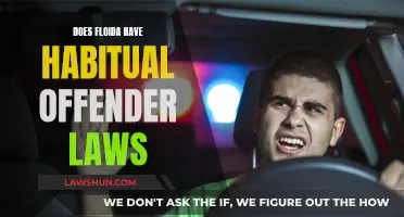 Understanding Florida's Habitual Offender Laws: A Comprehensive Guide