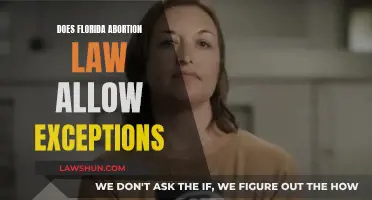 Florida Abortion Law: Exploring Exception Scenarios