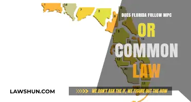 Florida's Legal System: MPC or Common Law?