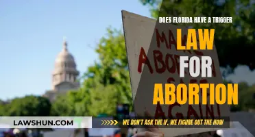 Florida's Abortion Trigger Law: What You Need to Know