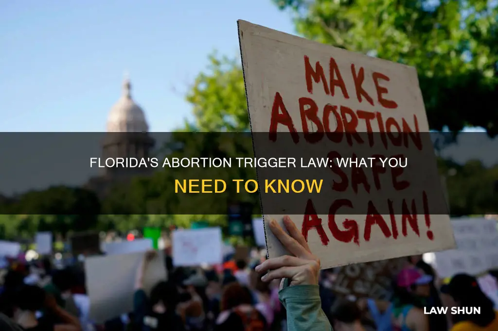 does florida have a trigger law for abortion