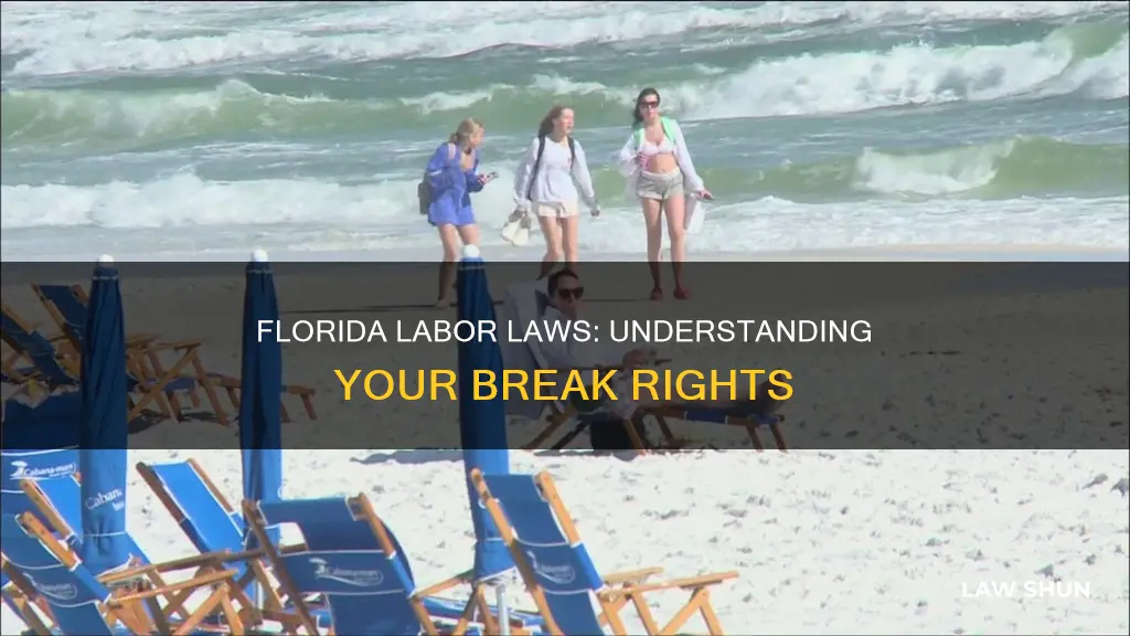 does florida law mandate breaks