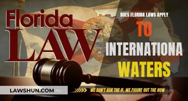 Florida Laws: International Waters and Their Legal Boundaries