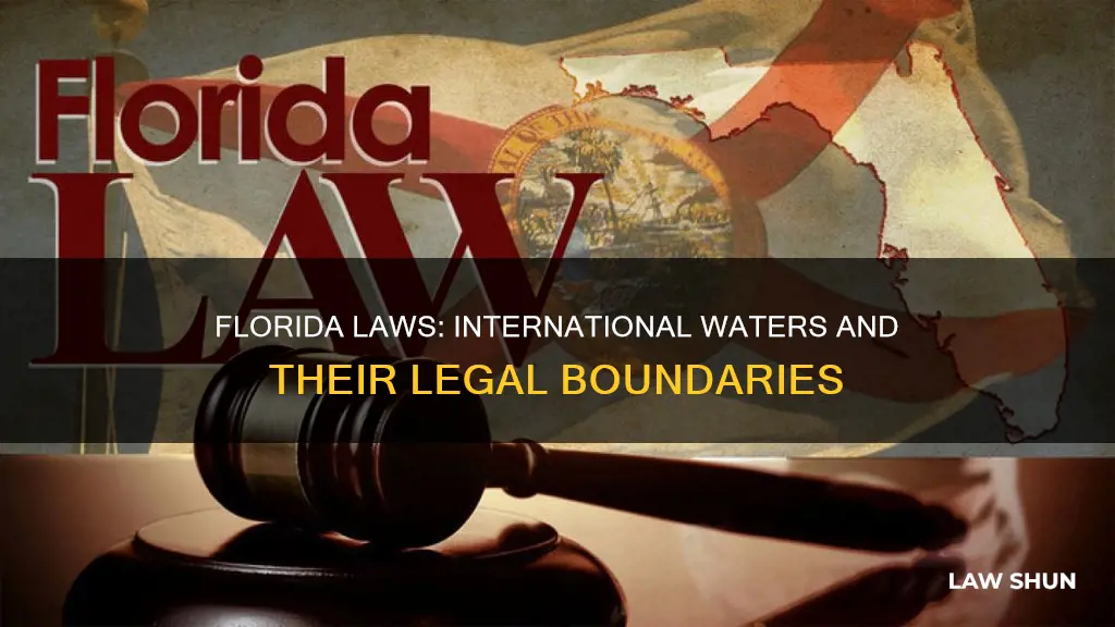 does florida laws apply to international waters