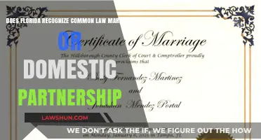 Florida's Stance on Common Law Marriage and Domestic Partnership