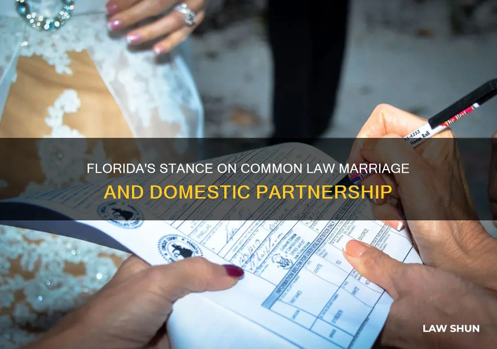 does florida recognize common law marriage or domestic partnership