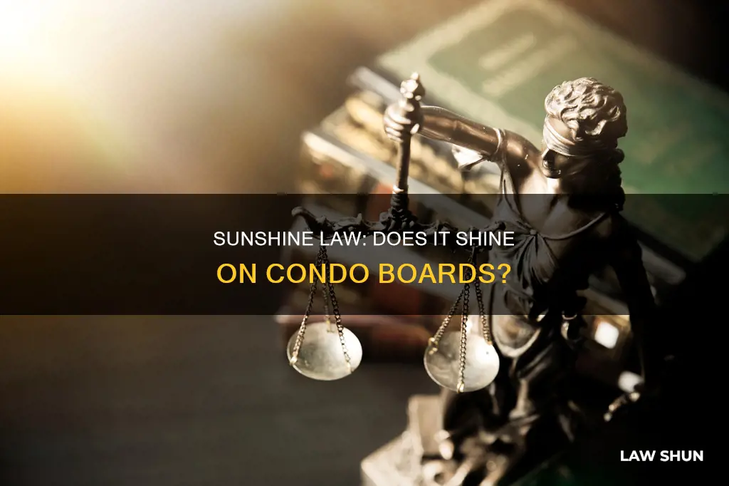 does florida sunshine law apply to condo boards