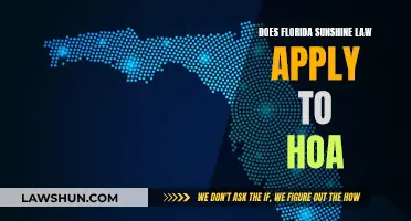 HOA and Sunshine: Florida's Law for Transparency