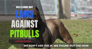 Understanding Florida's Legal Stance on Pitbull Ownership