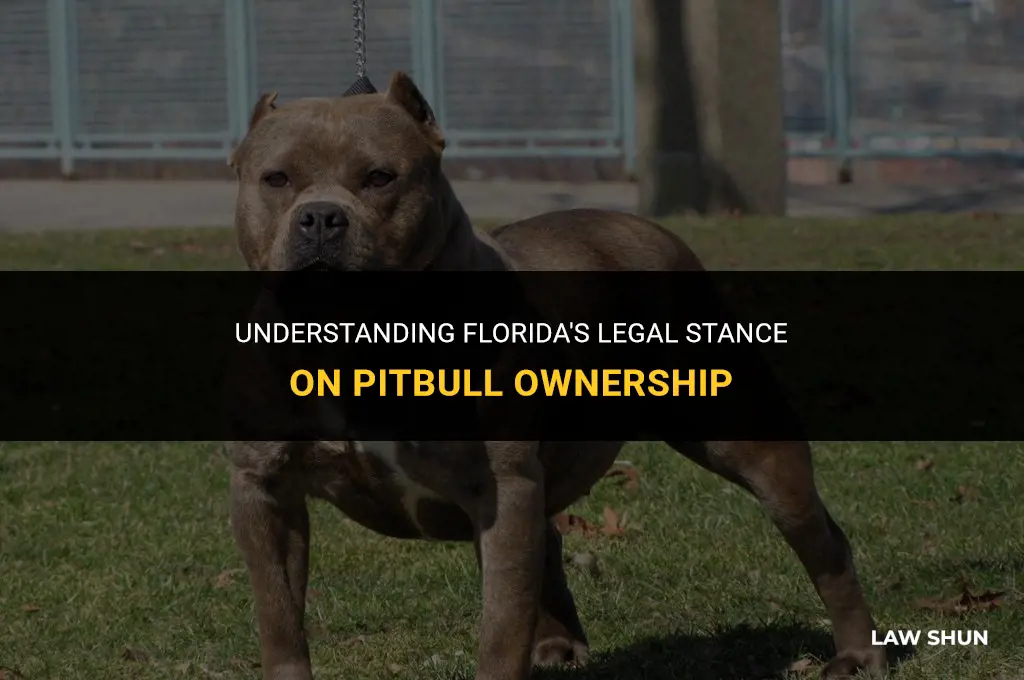does florids have laws against pitbulls