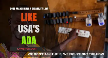France's Disability Law: How It Compares to the USA's ADA