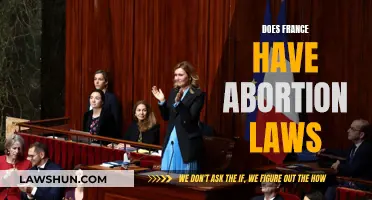 Abortion Laws in France: What's the Current Situation?