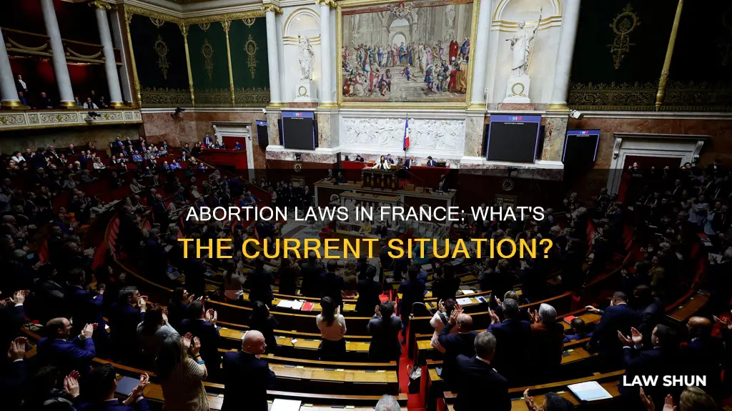 does france have abortion laws