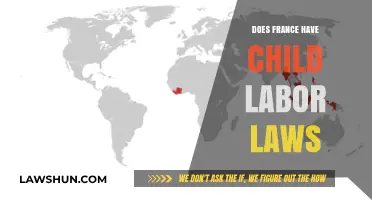France's Child Labor Laws: Protections, Regulations, and Enforcement Explained