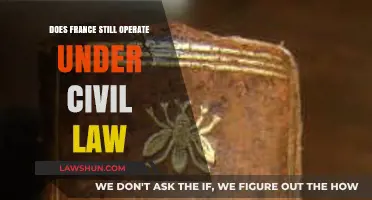 Is France Still Governed by Civil Law? Exploring Its Legal System