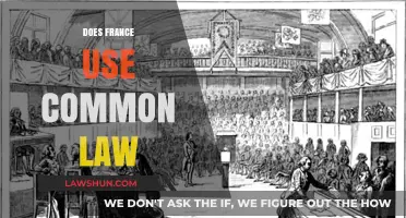 France's Legal System: Common Law or Civil Code?
