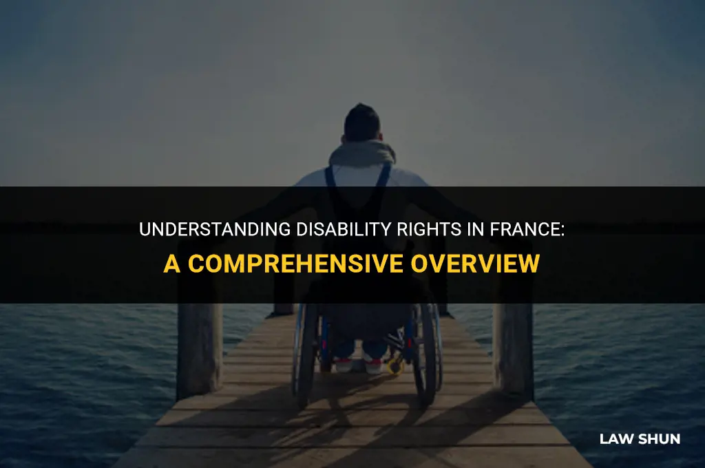 does franch have a disability law