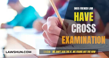 Exploring Cross-Examination in French Legal Proceedings: A Detailed Analysis