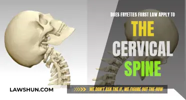 Fryette's Law and the Cervical Spine: What's the Connection?