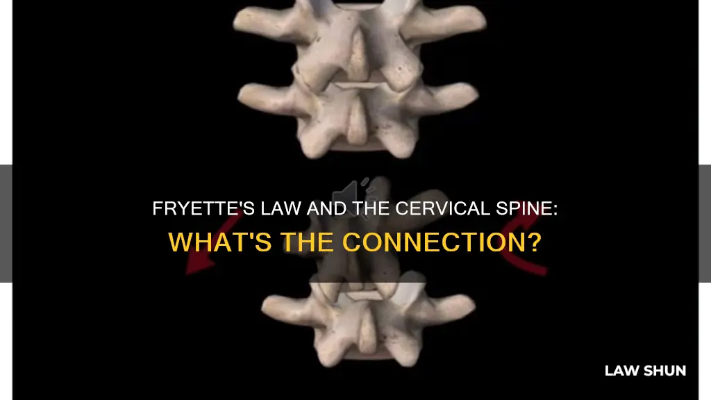 does fryettes furst law apply to the cervical spine