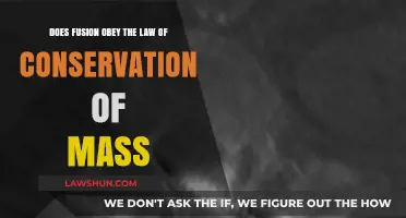 Does Fusion Uphold Conservation of Mass? Exploring Nuclear Reactions
