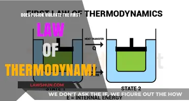 Fusion Energy: First Law of Thermodynamics Intact?