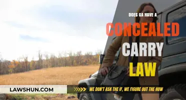Georgia's Concealed Carry Law: Understanding Your Rights and Responsibilities