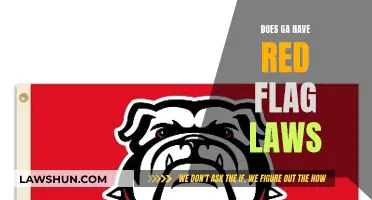 Exploring Georgia's Stance on Red Flag Laws: A Comprehensive Overview