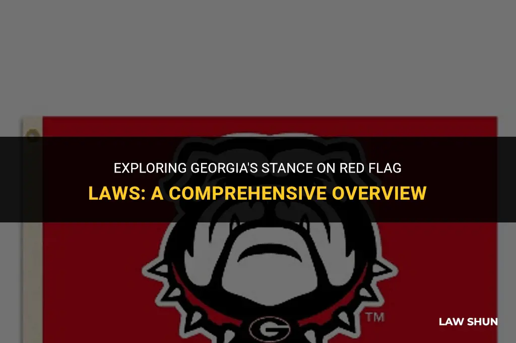 does ga have red flag laws