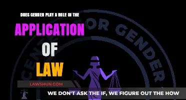 Gender and Justice: Does Sex Influence Legal Outcomes and Enforcement?