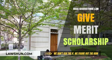 Unlocking Opportunities: Georgetown Law's Merit Scholarship Insights
