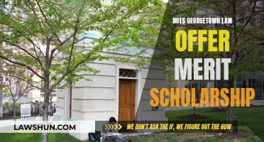 Unlocking Opportunities: Merit Scholarships at Georgetown Law