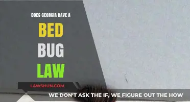 Georgia's Bed Bug Laws: What Tenants and Landlords Need to Know