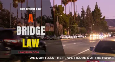 Georgia's Bridge Law: Understanding Regulations and Requirements for Drivers
