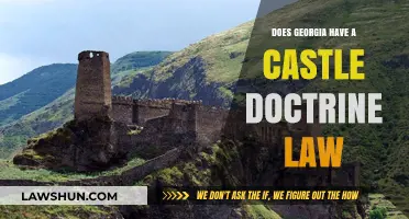 Georgia's Castle Doctrine Law: Understanding Self-Defense Rights at Home
