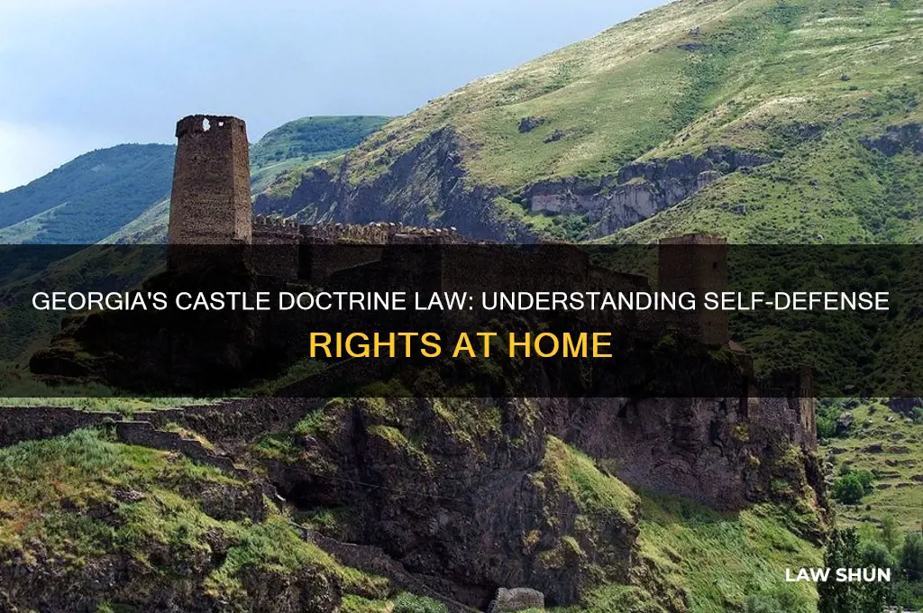 does georgia have a castle doctrine law