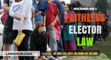 Georgia's Faithless Elector Law: Understanding the State's Electoral Rules