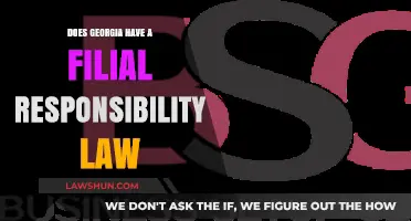 Georgia's Filial Responsibility Law: What You Need to Know