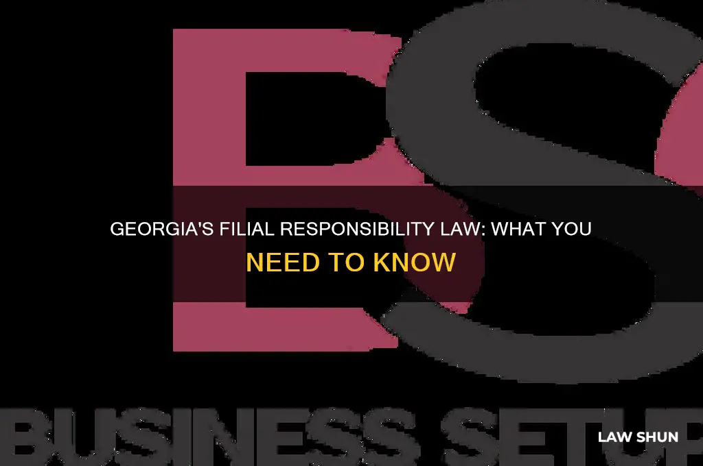 does georgia have a filial responsibility law