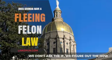 Georgia's Fleeing Felon Law: Understanding the Legal Implications