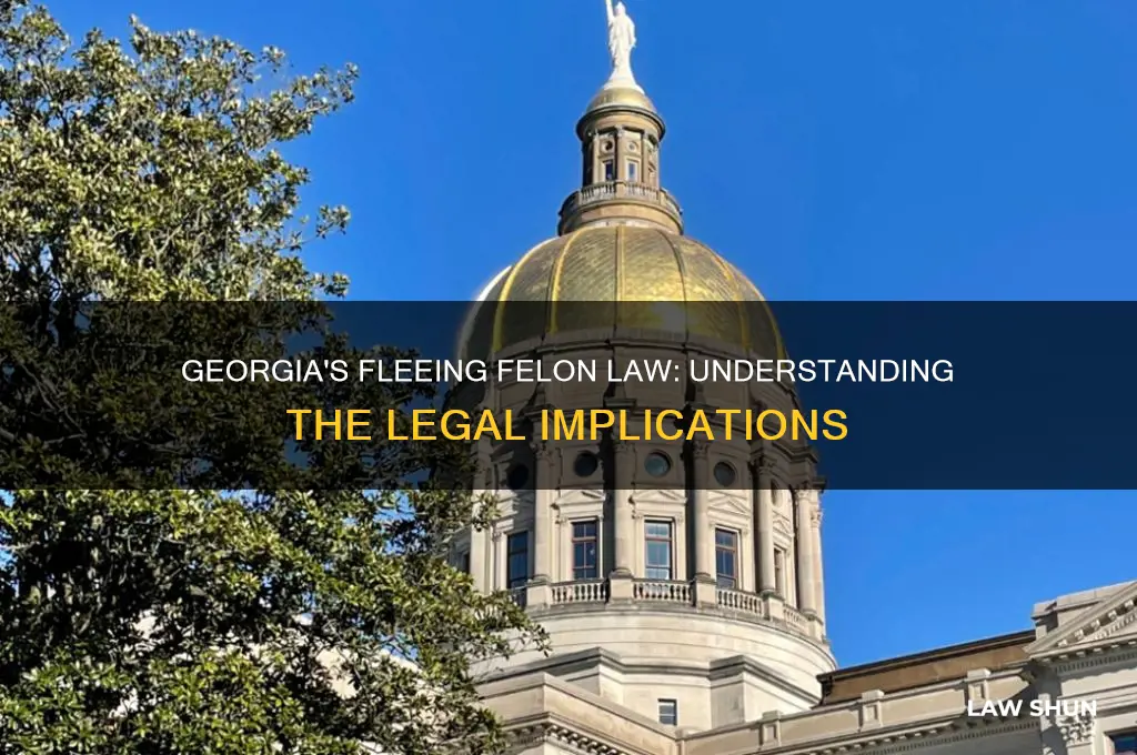 does georgia have a fleeing felon law