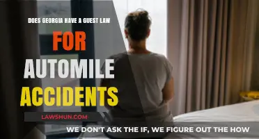 Georgia's Guest Passenger Law: Understanding Auto Accident Liability and Rights
