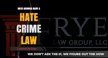 Georgia's Hate Crime Law: Understanding Its Existence and Impact