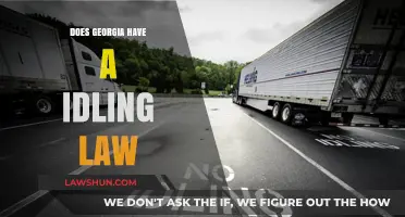 Georgia's Idling Law: What You Need to Know
