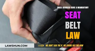Georgia's Seat Belt Law: Mandatory or Optional? What You Need to Know
