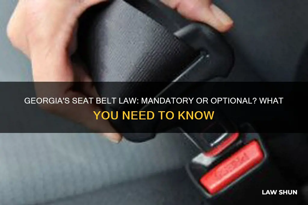 does georgia have a mandatory seat belt law